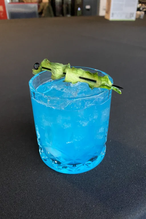 Fuzzy Cucumber Image