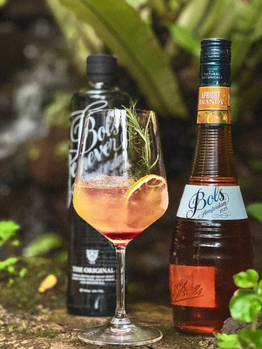 Late Afternoon Image