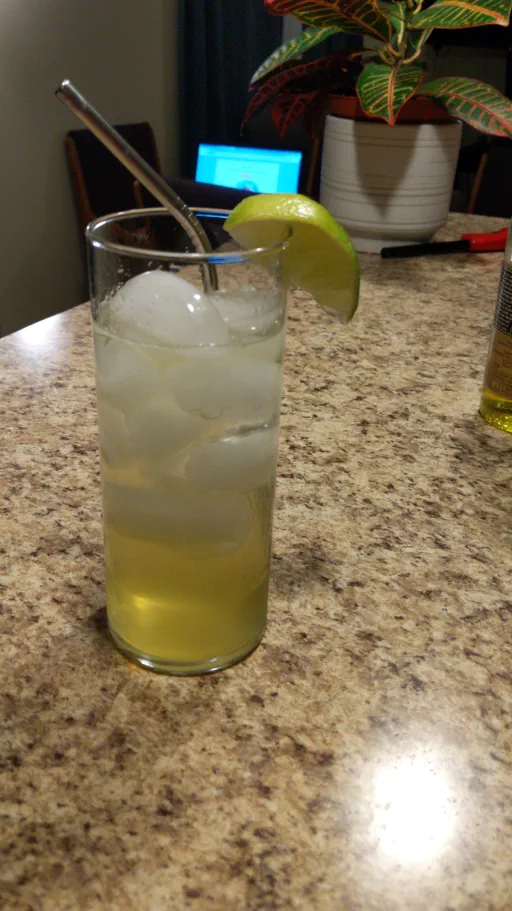 Alaskan Lemonade