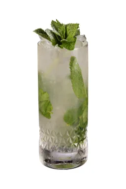 Coconut Mojito image