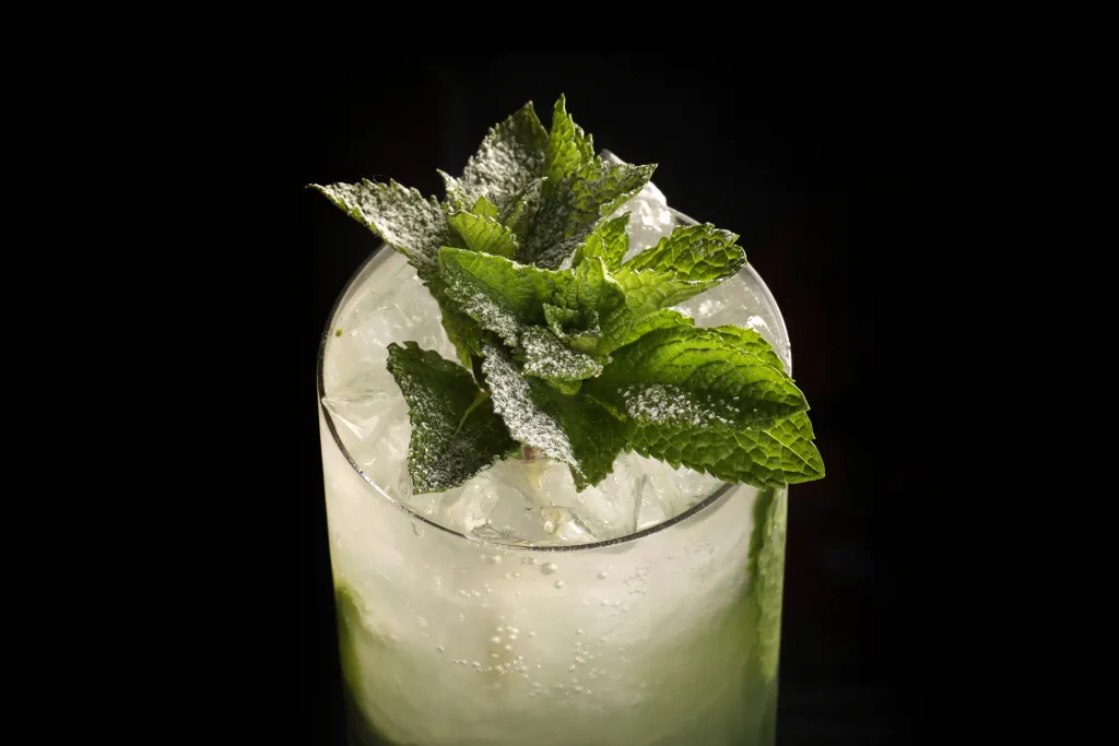 Coconut Mojito lifestyle image