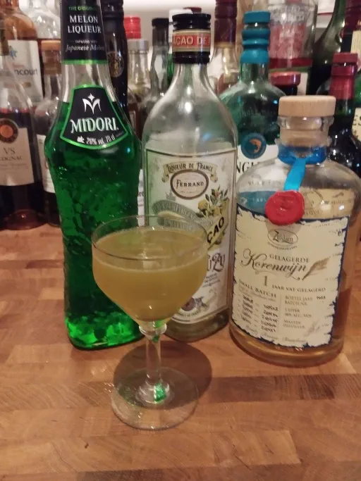 Japanese Polder Image