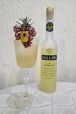 Adriatic Zest Spritz image
