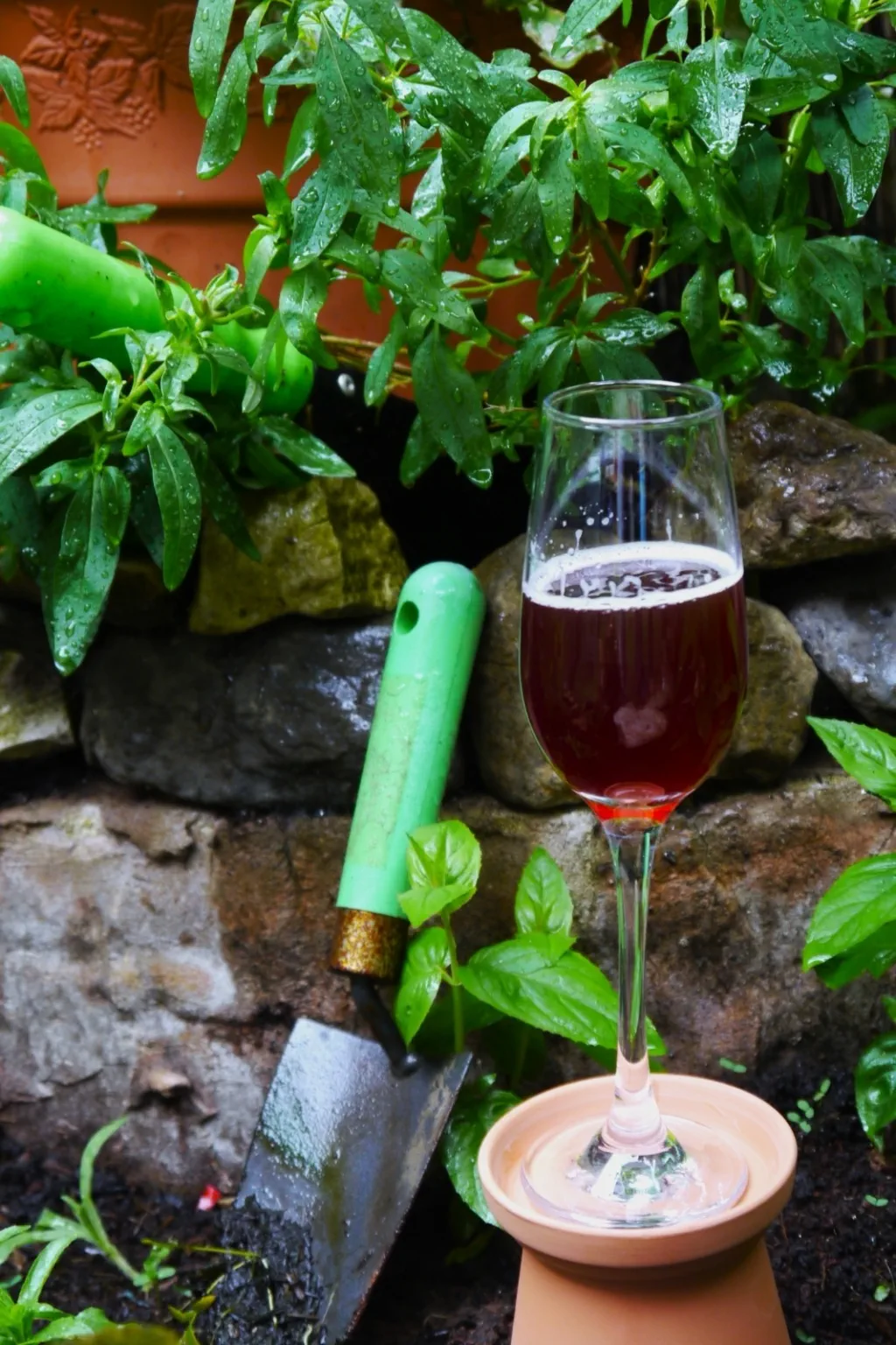 This is Not a Wine