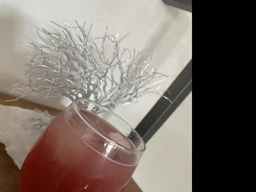 Cherry-Hibiscus Gin Spritz Image