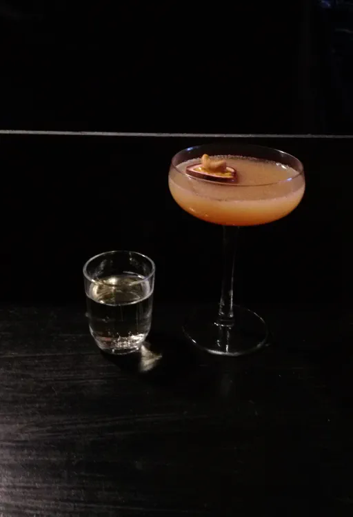 Racoon in the Suit Image