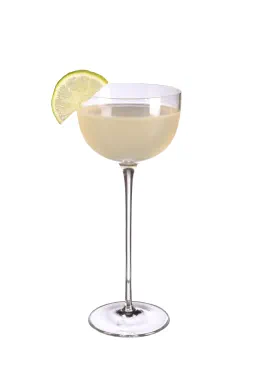Elderflower Gimlet