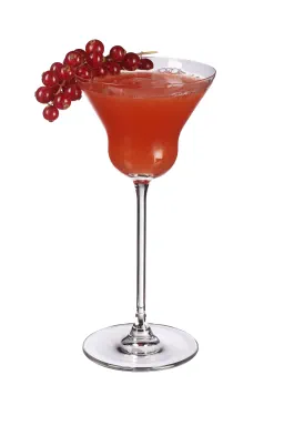 Red Rum 'Martini'