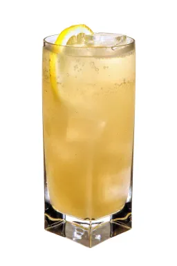 Apple & Elderflower Collins
