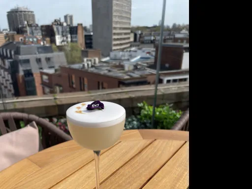 Violet Coquette Image