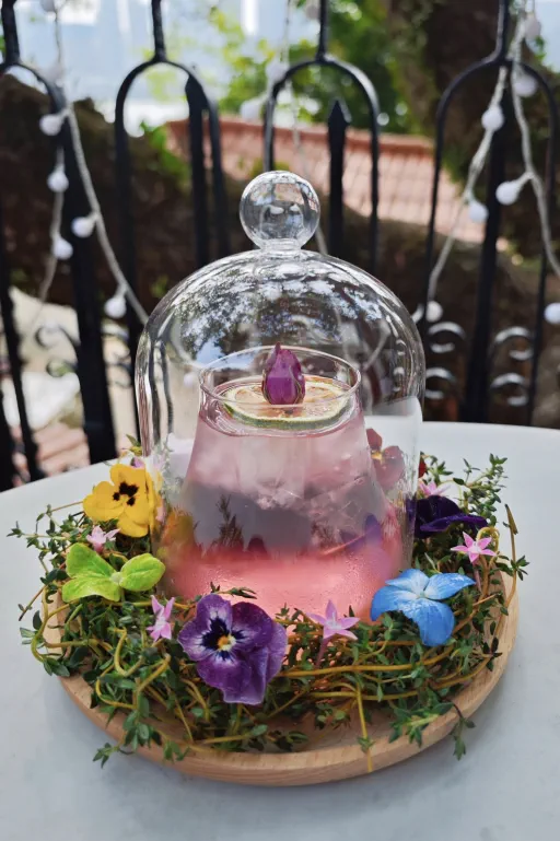 The Violet Evergarden Image