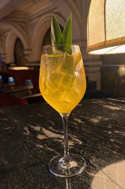 The Energy spritz image