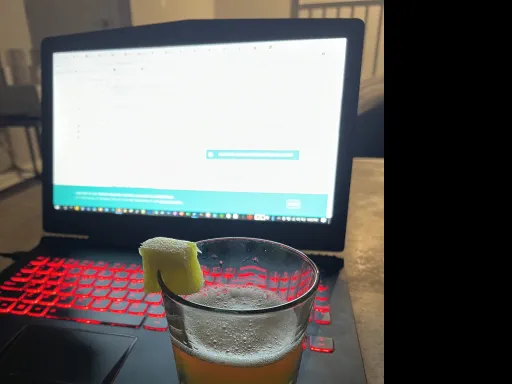 The Halpernicus Downhill Racer Image