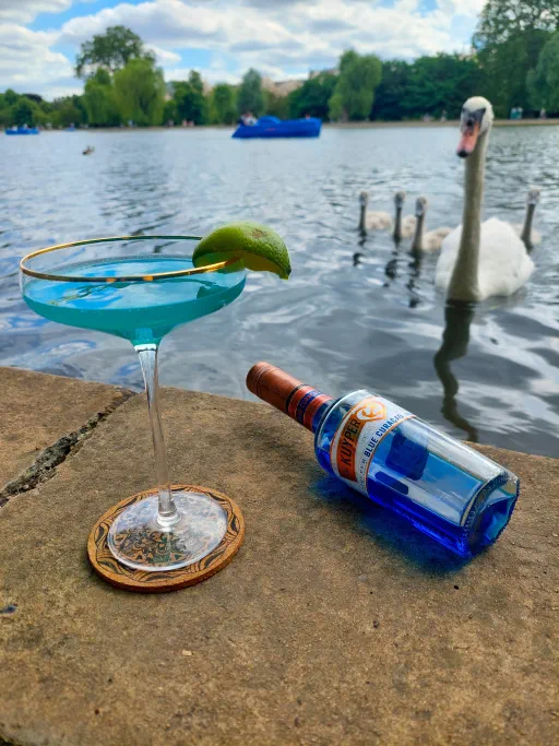 Pedalo Drag Race Image