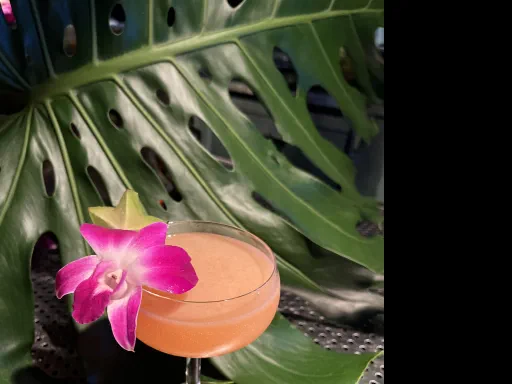 Apple of My Isaac Newton Image