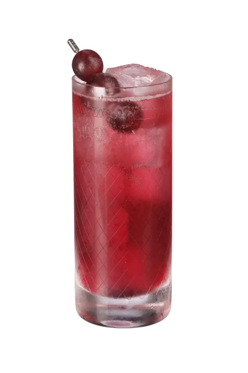 Bloodless Transfusion Image