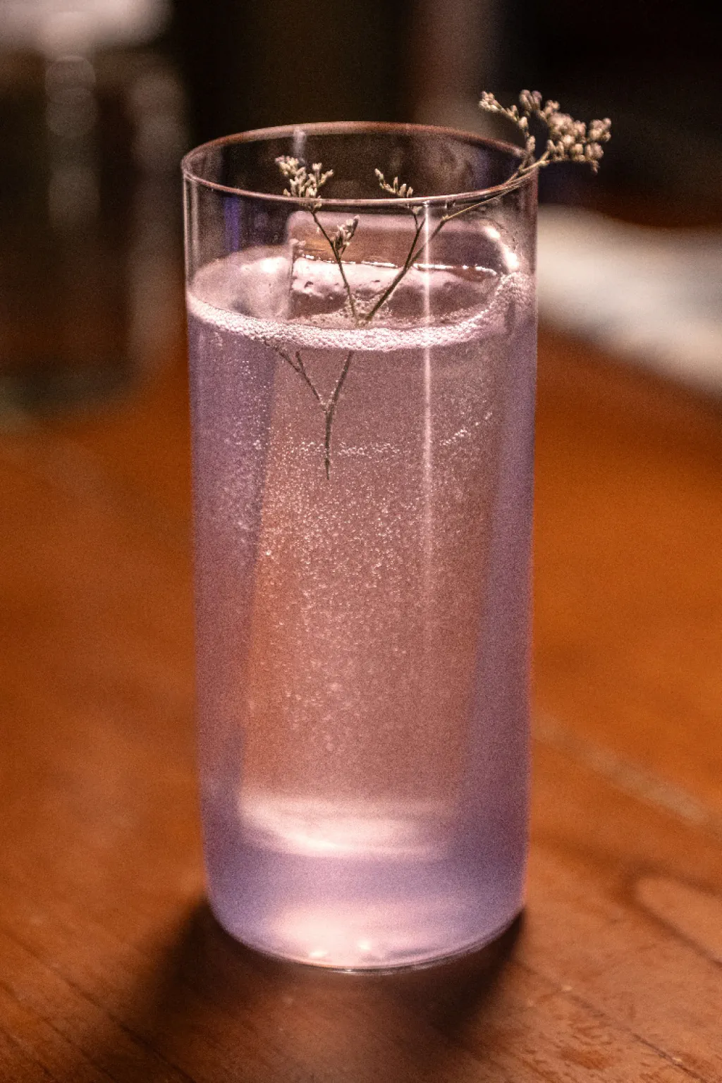 Violetas de Retiro