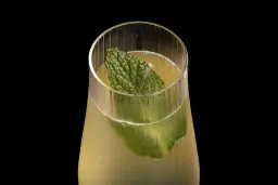 Bloom lifestyle thumbnail