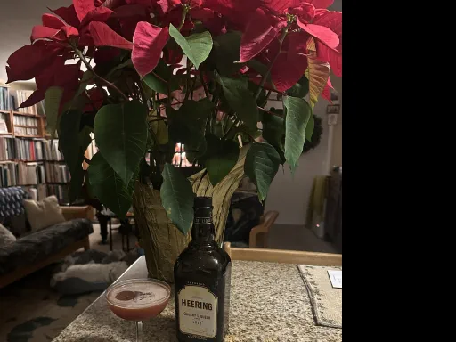 Holiday Heering Aid Image