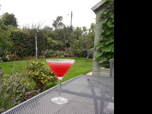 Uncle Pig's Clover Club (House-Made)