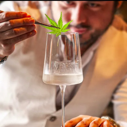 Midnight Blossom Image