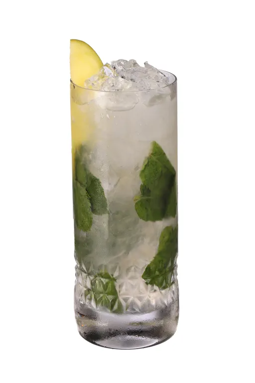 Mónica's Mango Mojito Image