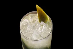 Mónica's Mango Mojito lifestyle thumbnail