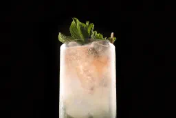 Mojito (Cuban-style) lifestyle thumbnail