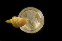 Pear & Cardamom Spritz lifestyle thumbnail