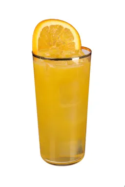 Wrong Island Ice Tea
