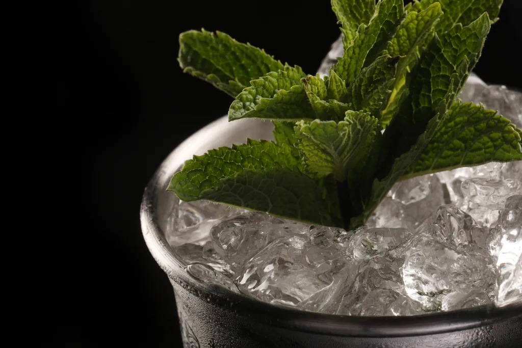 Sherry Mint Julep lifestyle image