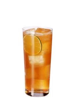 Hibiscus Rum Punch
