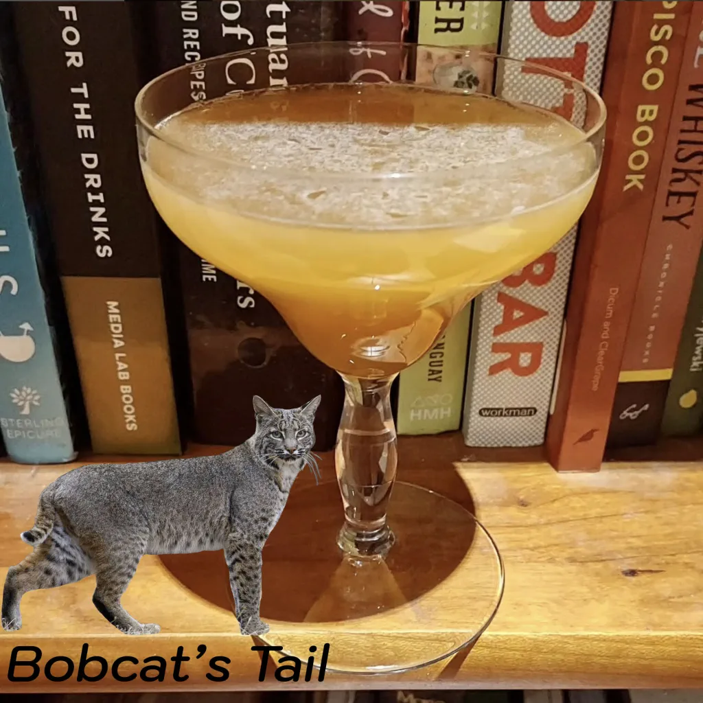 Bobcat's Tail