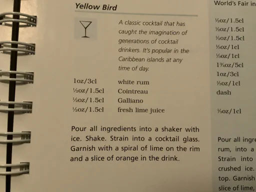 Yellow Bird (Salvatore Calabrese's Version) Image