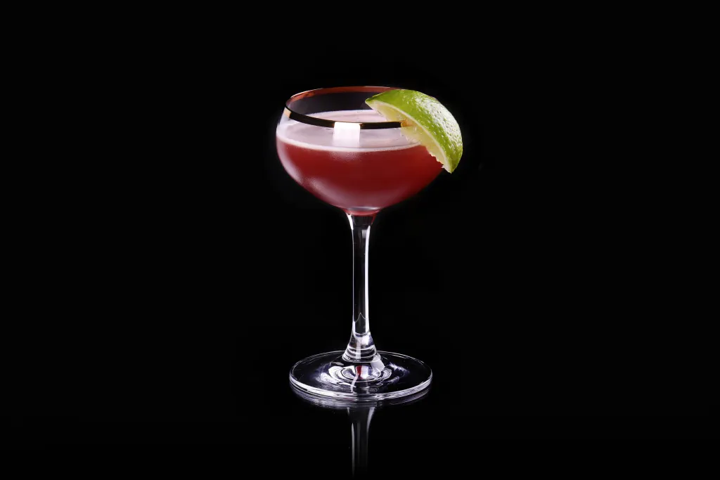 Maroon Daiquiri lifestyle image