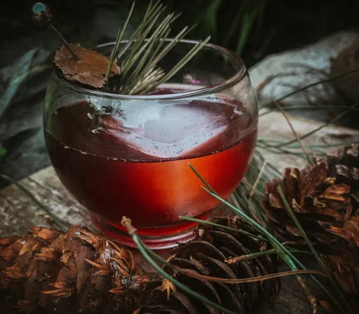 Foragers' Negroni with Pine Needle Truffle Image