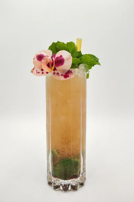 Lush Lighthouse Image