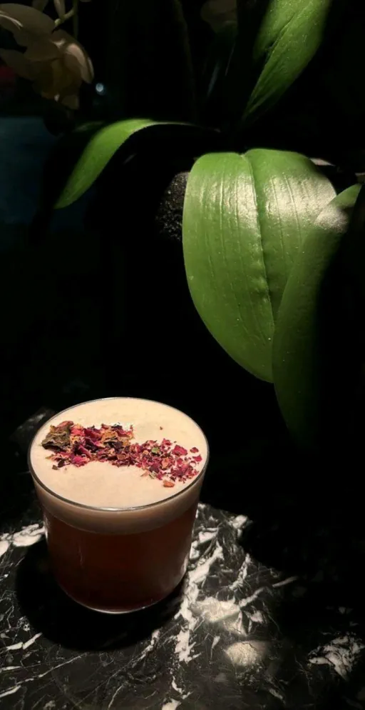 Tortoise and Harebiscus Image