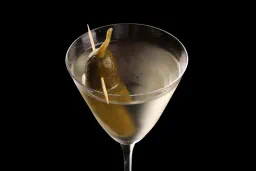 Pickletini lifestyle thumbnail