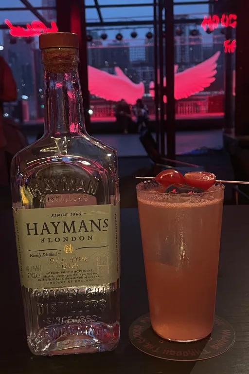 Tomato Gin Fizz Image