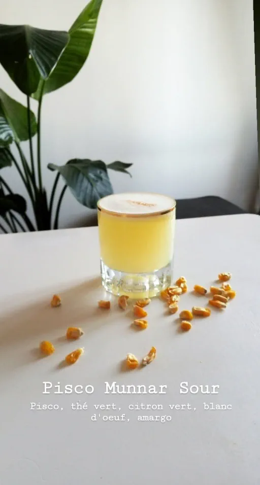 Pisco Munnar Sour Image