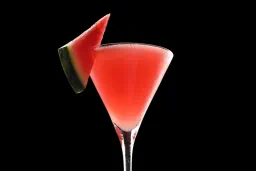 Miami Martini lifestyle thumbnail