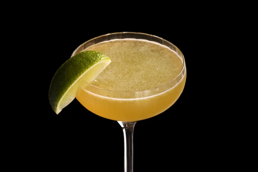 Bee-Grita lifestyle image