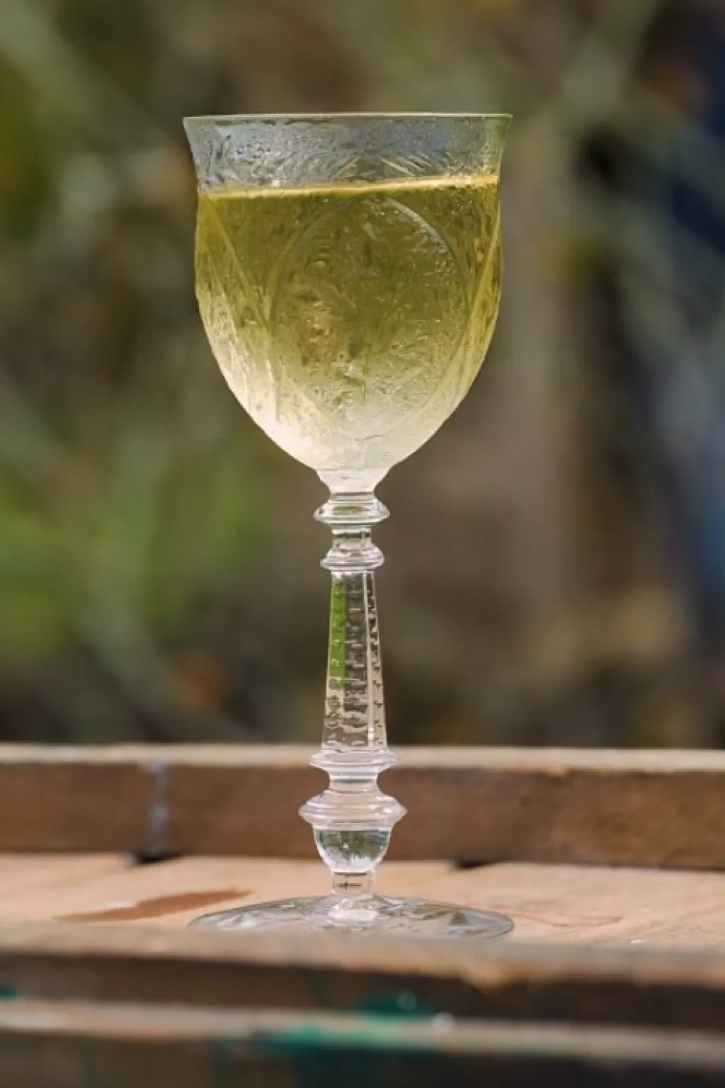 Still Life