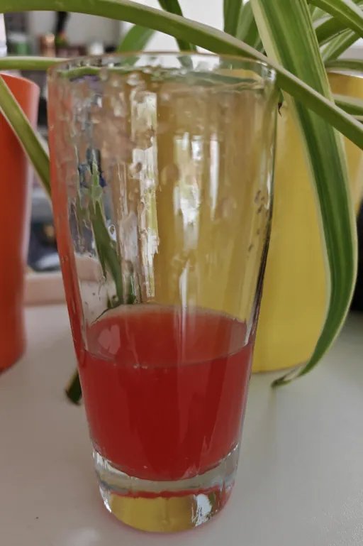 Jungle Sparrow Cry Image