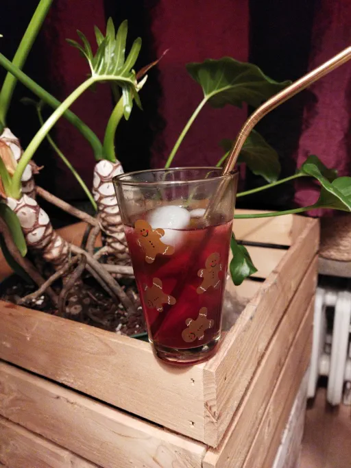 The Bouncing Chest of Medicine of the Country Folk Image