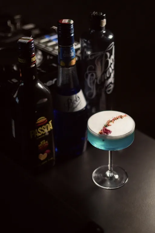 DISCO ELECTRIC Image