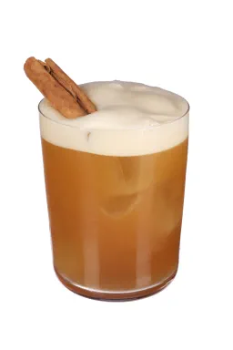 Cinnamon Amaro Sour