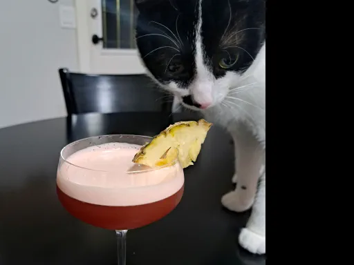 Poor Little Rich Girl Image