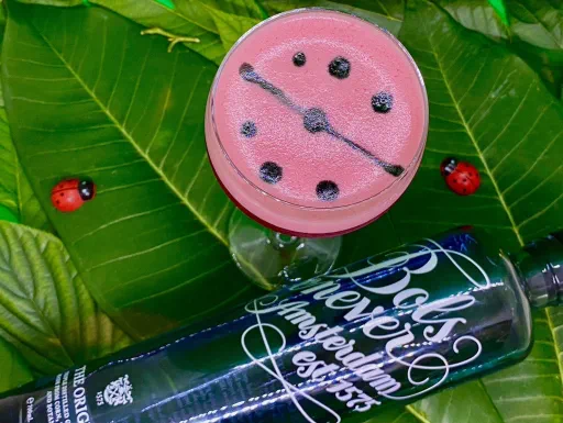 The Ladybug Image